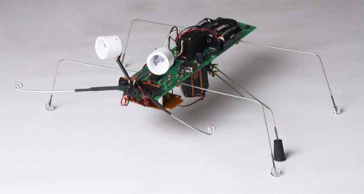 BugBrain robot